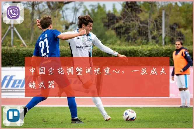 中国金花调整训练重心，一发成关键武器