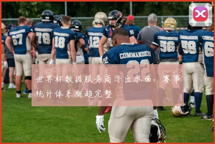 世界杯数据服务商浮出水面，赛事统计体系渐趋完整