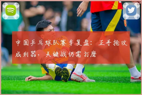 中国乒乓球队赛季复盘：正手抢攻成利器，关键战仍需打磨